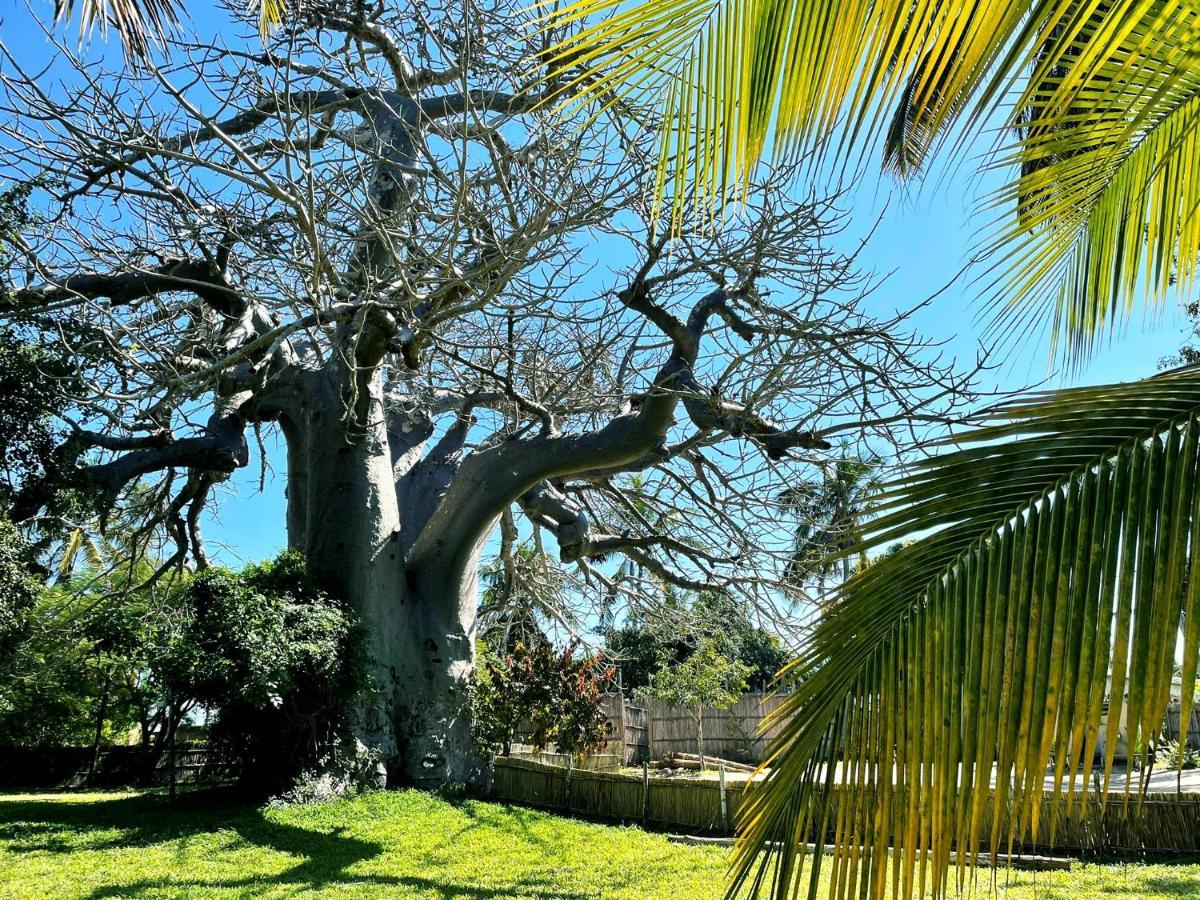 Baobab Beach Vilankulo Eksteriør billede