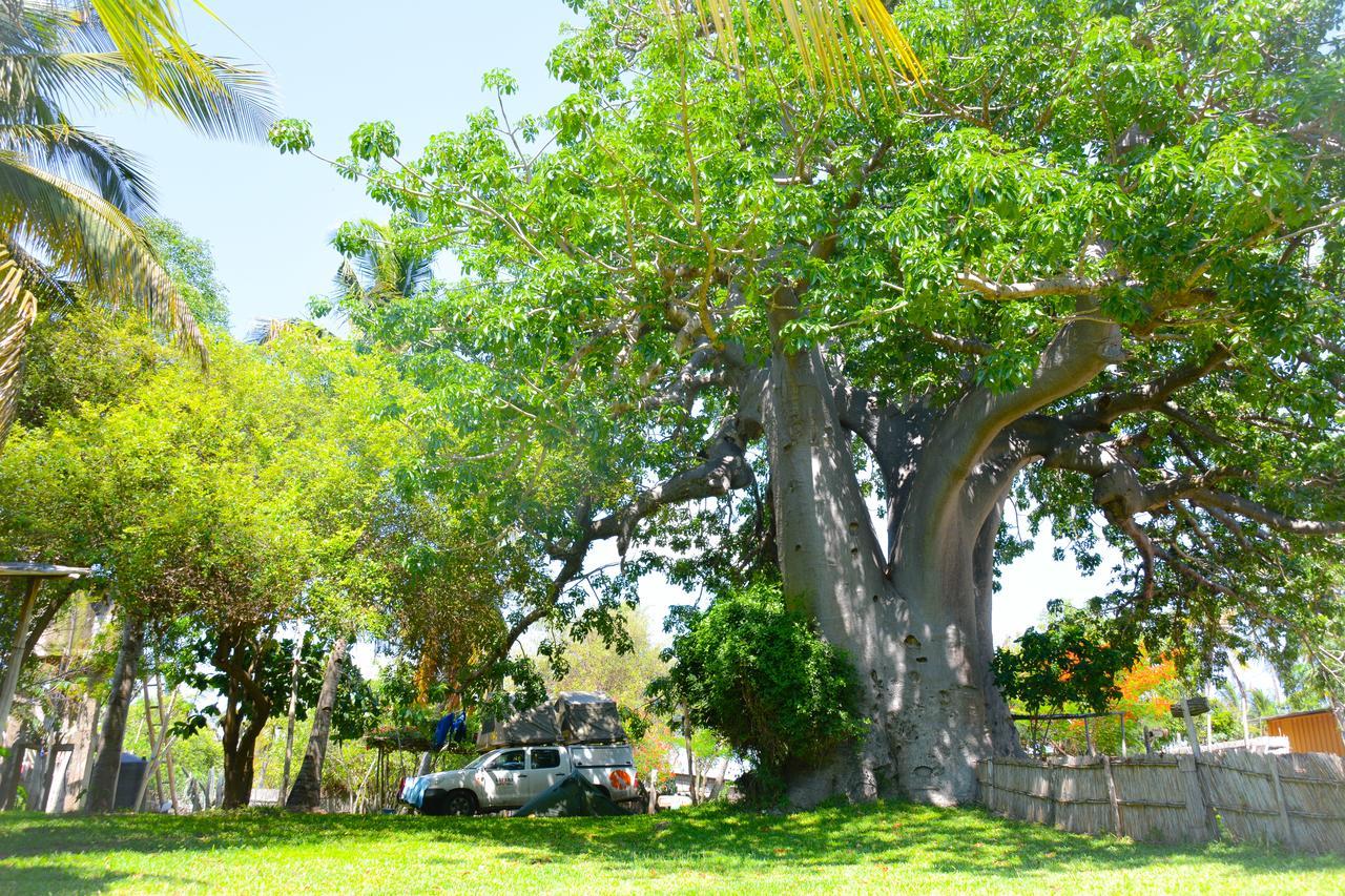 Baobab Beach Vilankulo Eksteriør billede